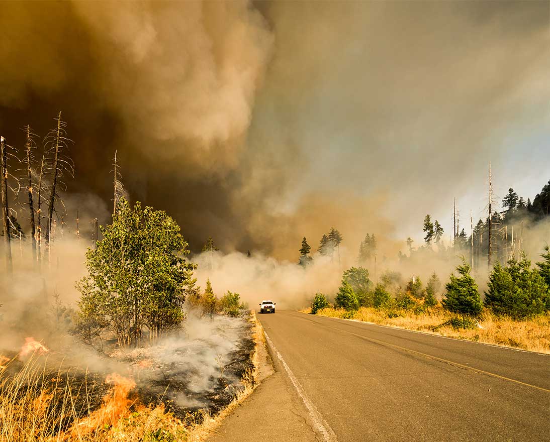 car driving from the wildfire