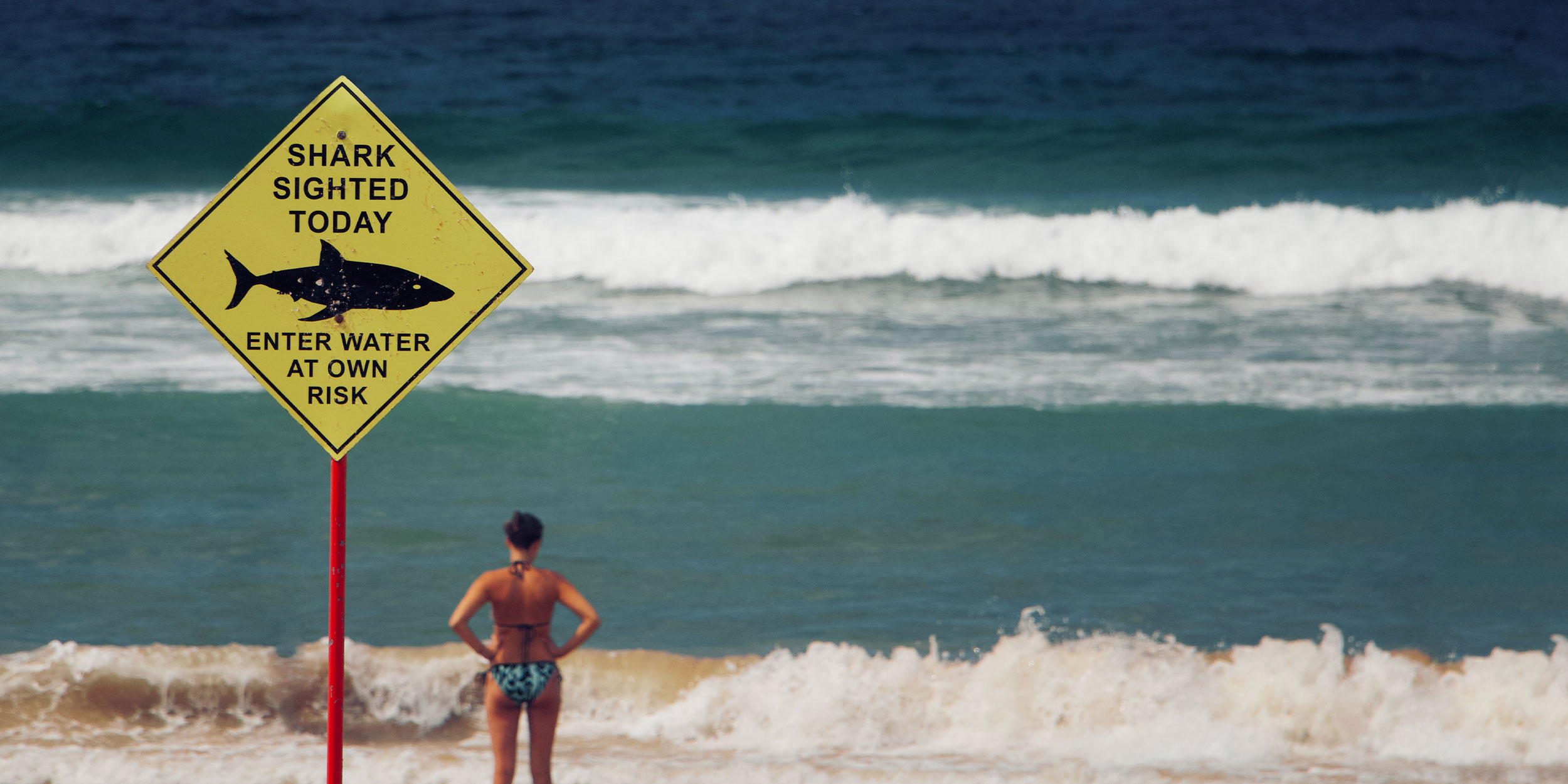 shark warning at a beach