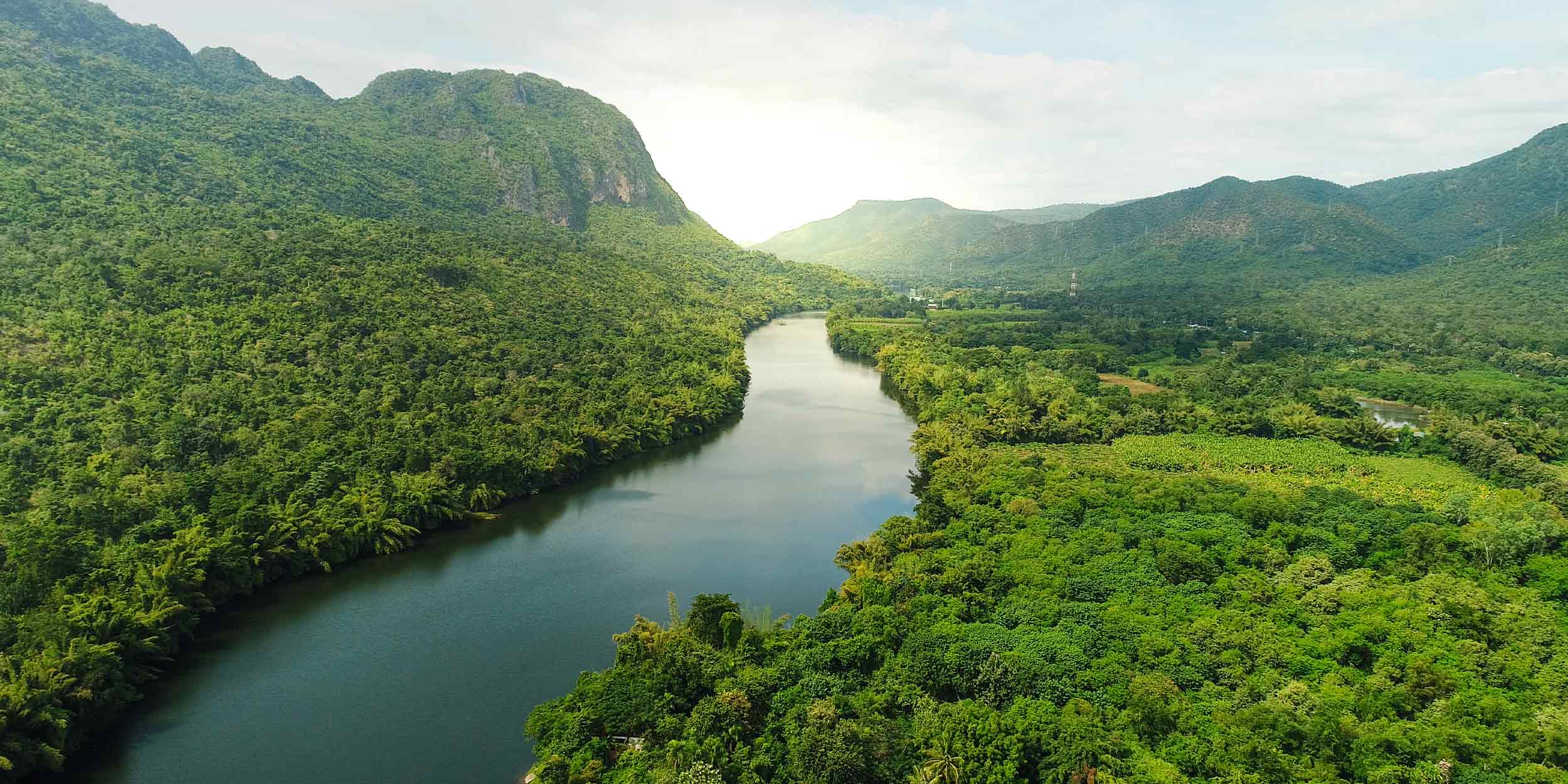 river flowing through a forest