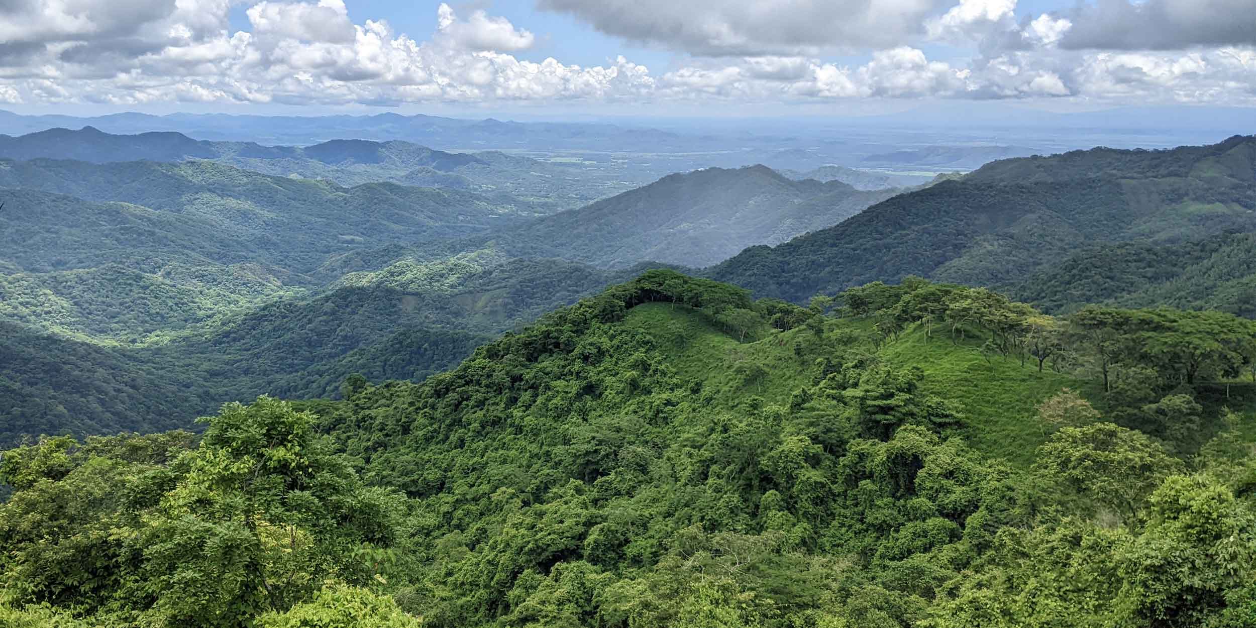 Costa Rica's forest