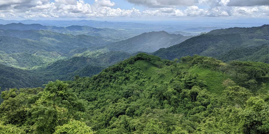 Costa Rica's forest