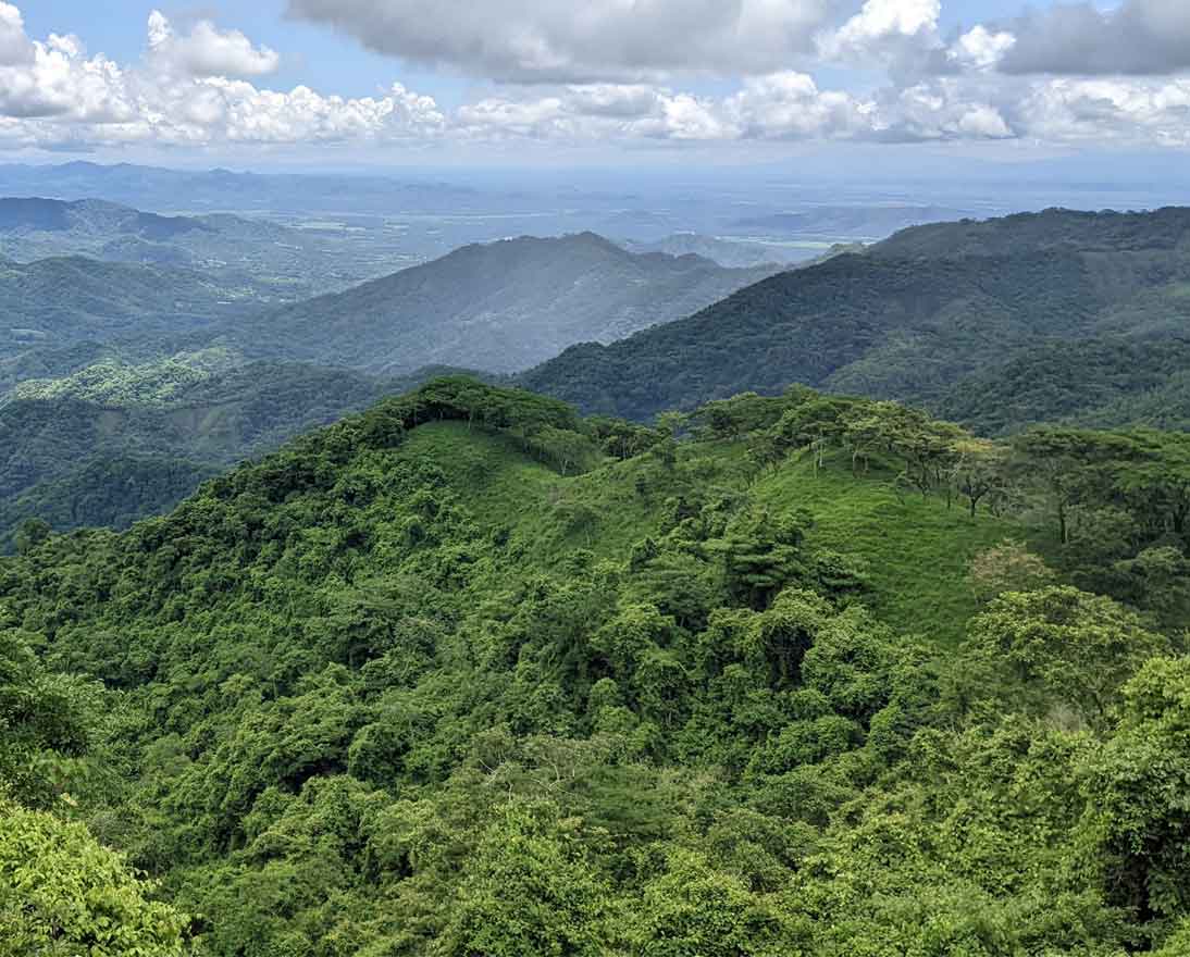 Costa Rica's forest