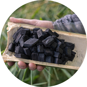 Bamboo is turned into biochar, which can store carbon for hundreds or even thousands of years.