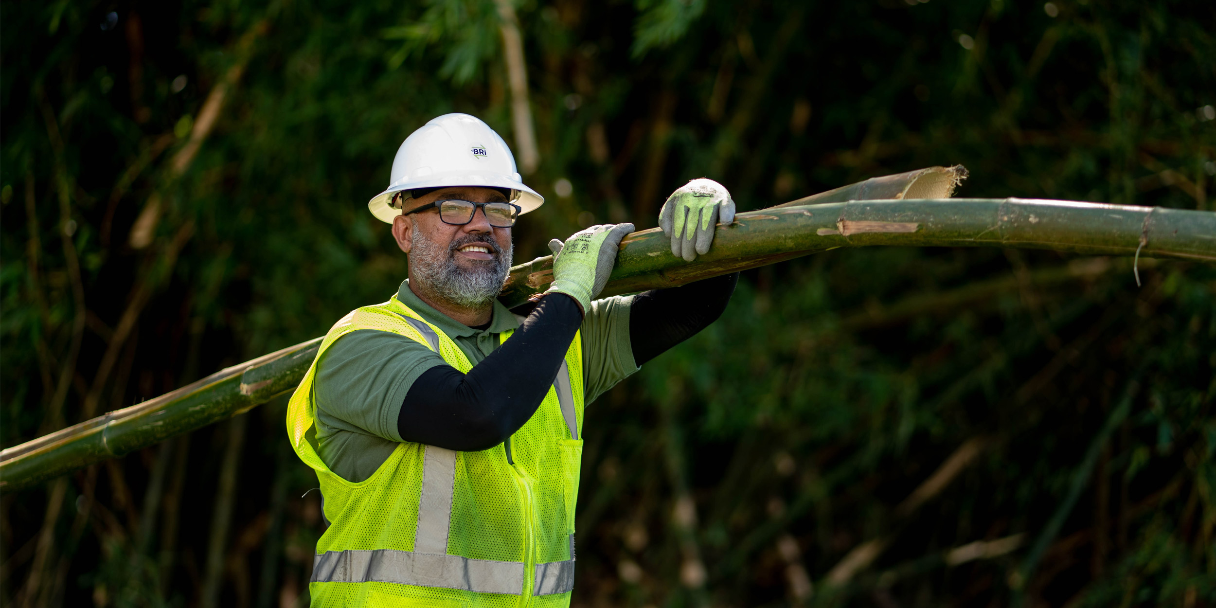 Roberto “Omi” Cintron, field operations employee, carries freshly cut bamboo plants as part of the work done by Bio Restorative Ideas to remove plants and turn them into environmental friendly Biochar
