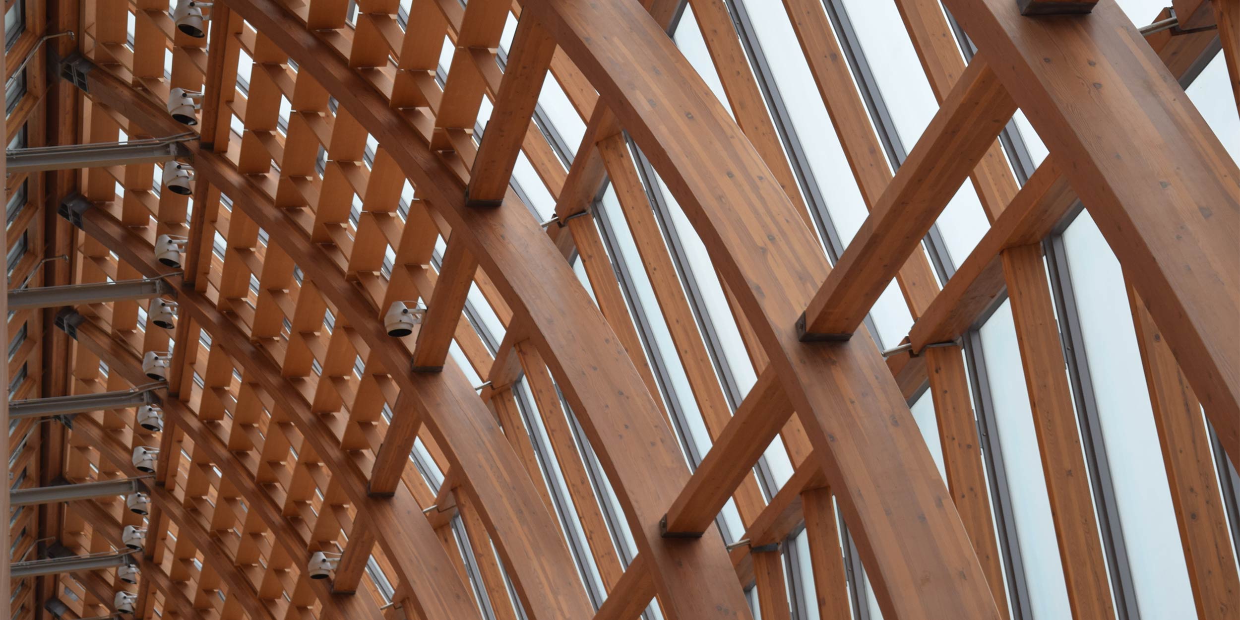 Mass timber: Insuring the future of sustainable construction