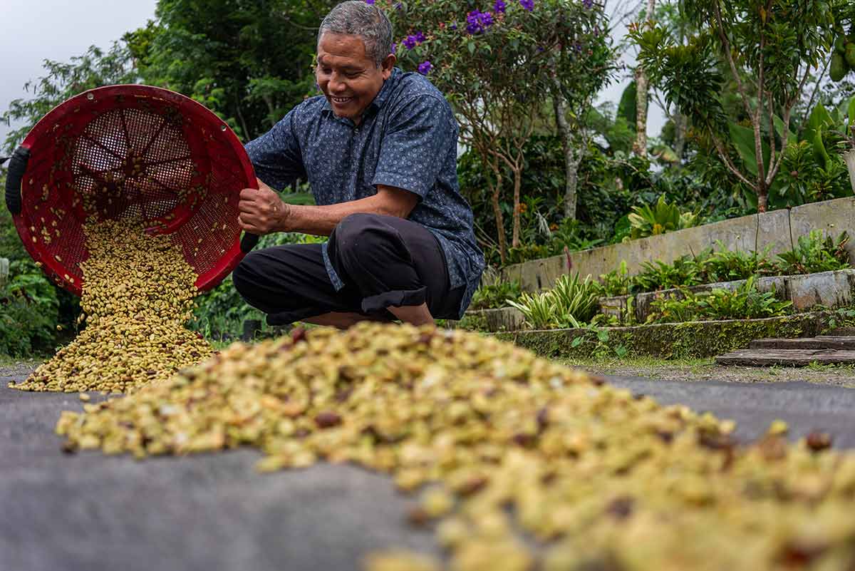Coffee farmer at work