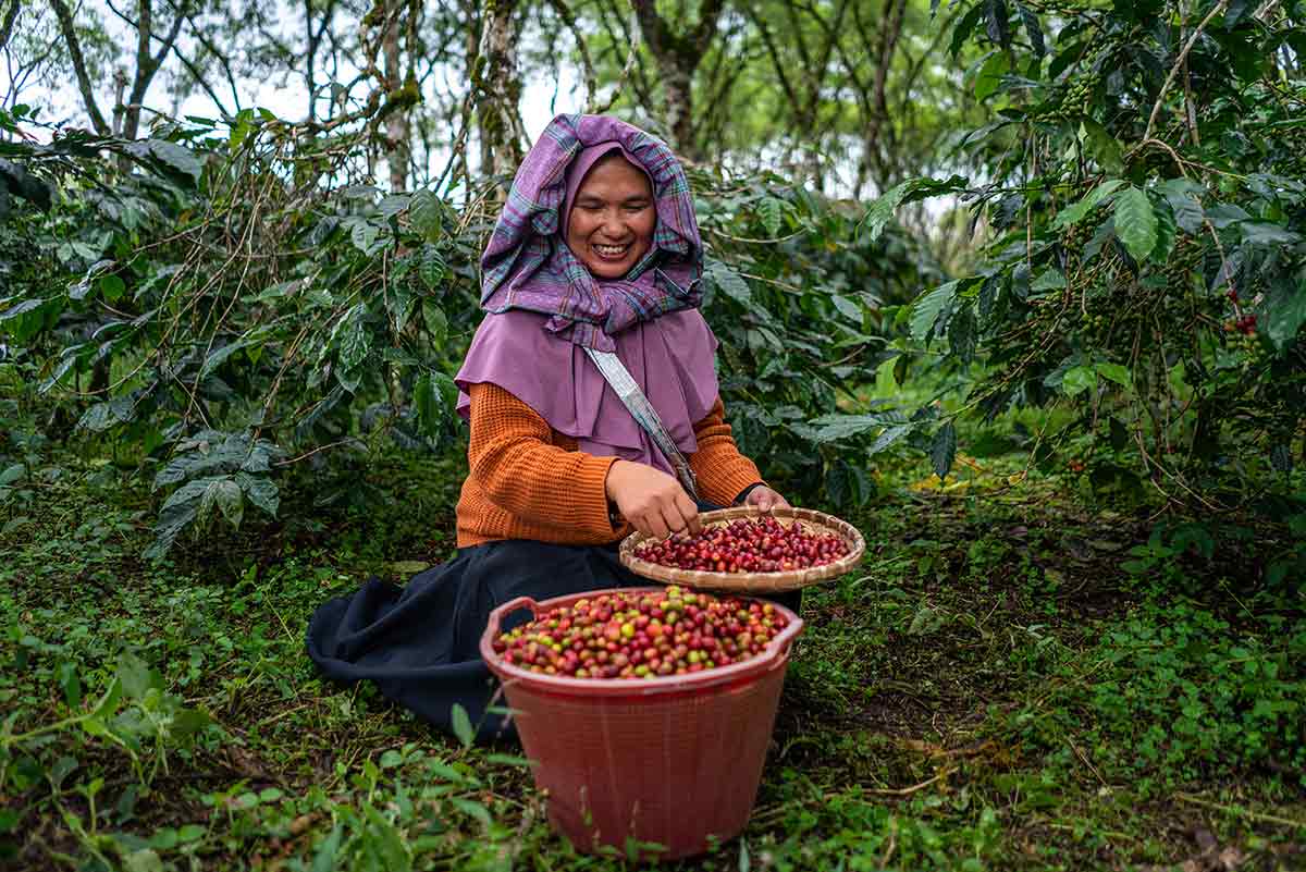 Coffee farmer at work
