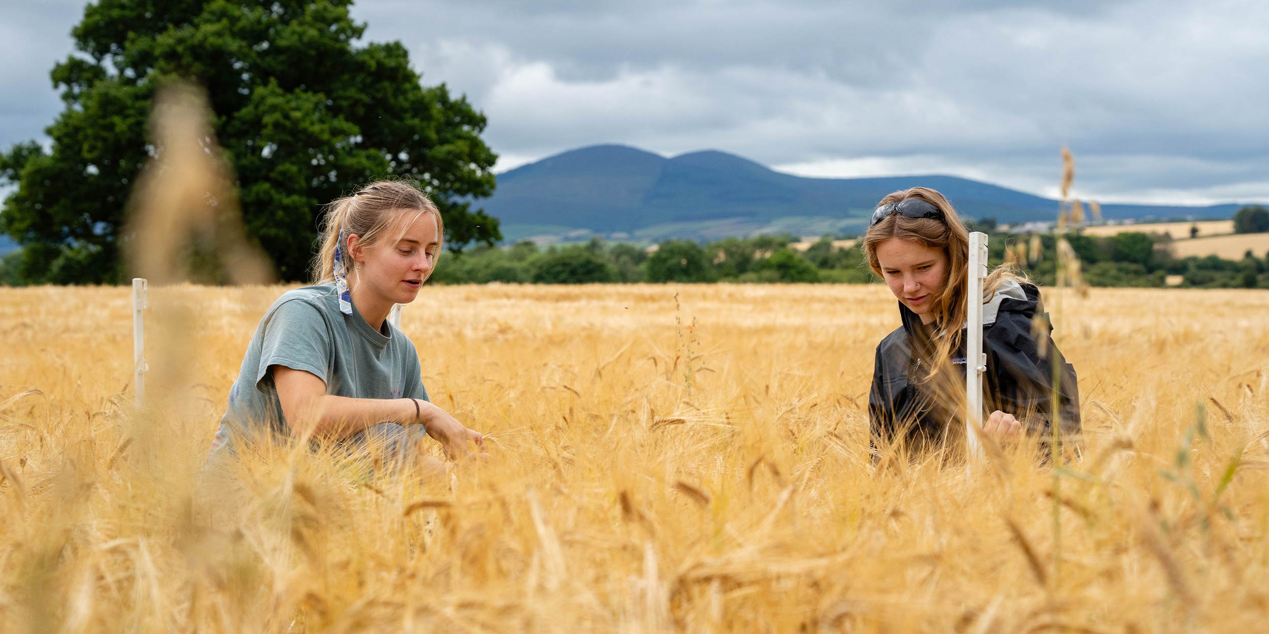 Two women in a field
