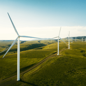 wind power