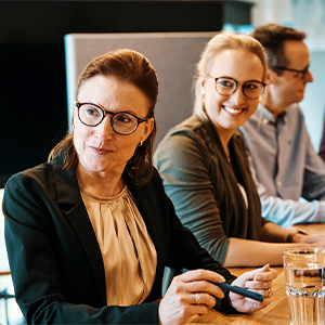 people in a meeting