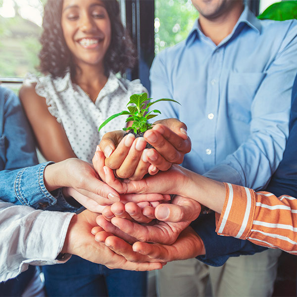 several hands holding a plant