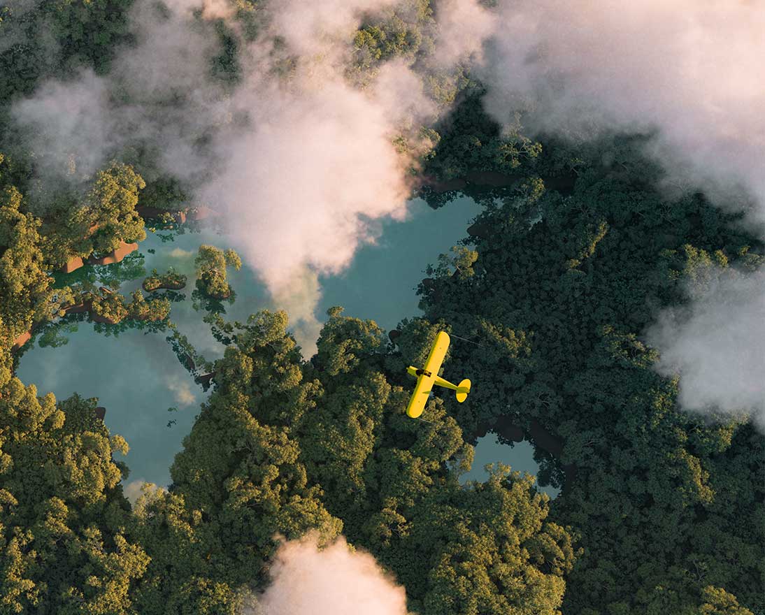 plane over forest