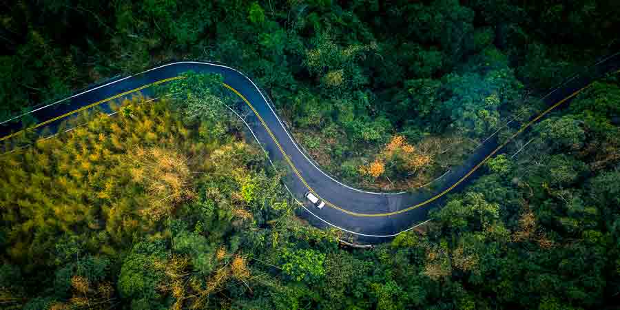 Aerial view car in the forest