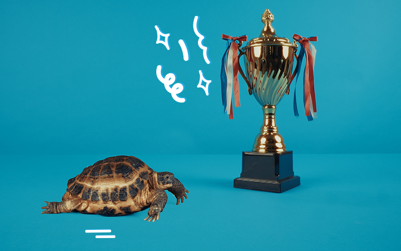 Tortoise and an award cup