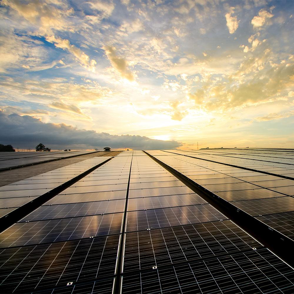 Solar panels with the sunset in the background