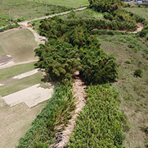 bamboo river blockage