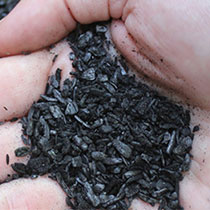 biochar