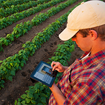 man looking at a mobile phone while standing in a field