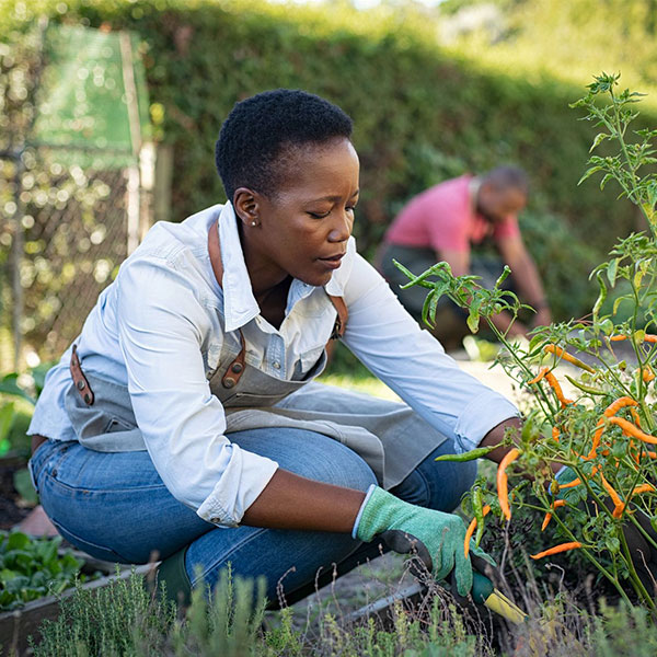 woman gardening