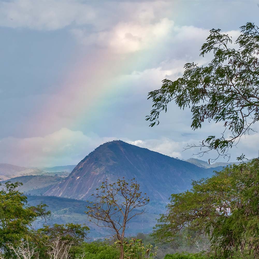 The Zurich Forest with a rainbow over the mountain