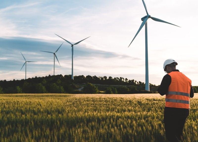 wind turbines in agricultural field