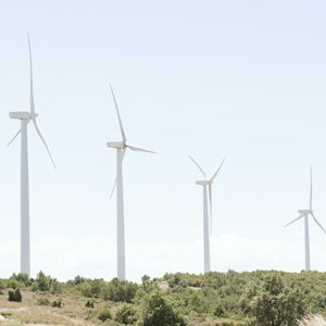 wind turbine