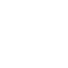 Cruise Control Icon