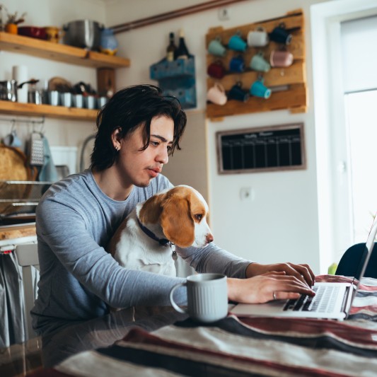 Home office with dog
