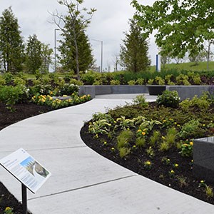 KAMP garden