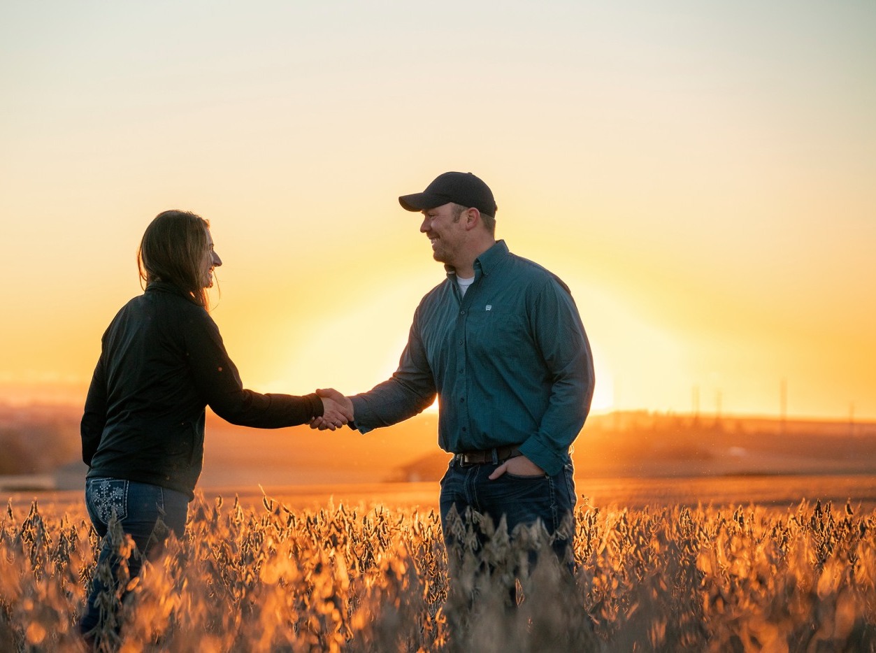 man and woman shaking hands