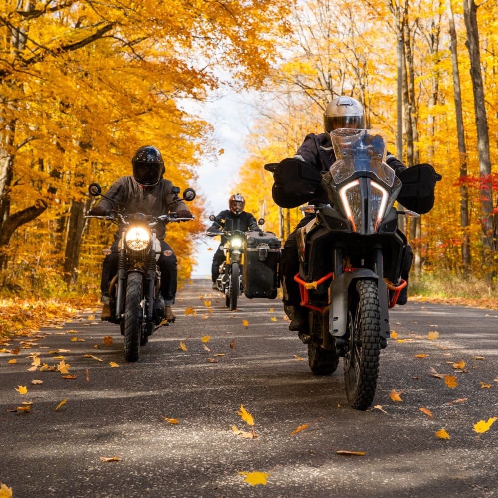 AdobeStock_425798270_1000x1000