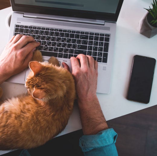 customer-care-complaint-form-zurich-insurance