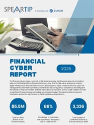 cyber financial report