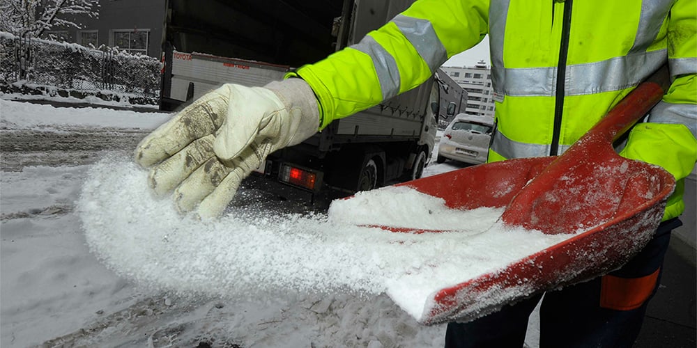 Winter_prep_1000x500