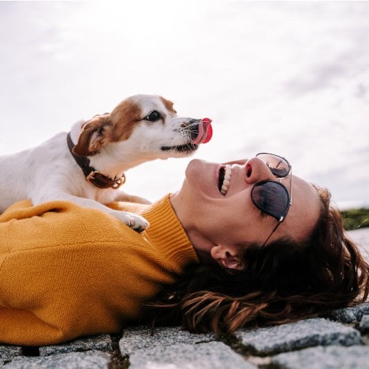 Dog licking woman outdoors