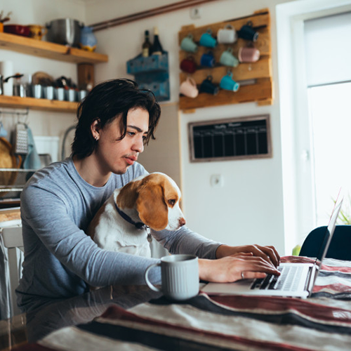 man-with-dog-and-laptop