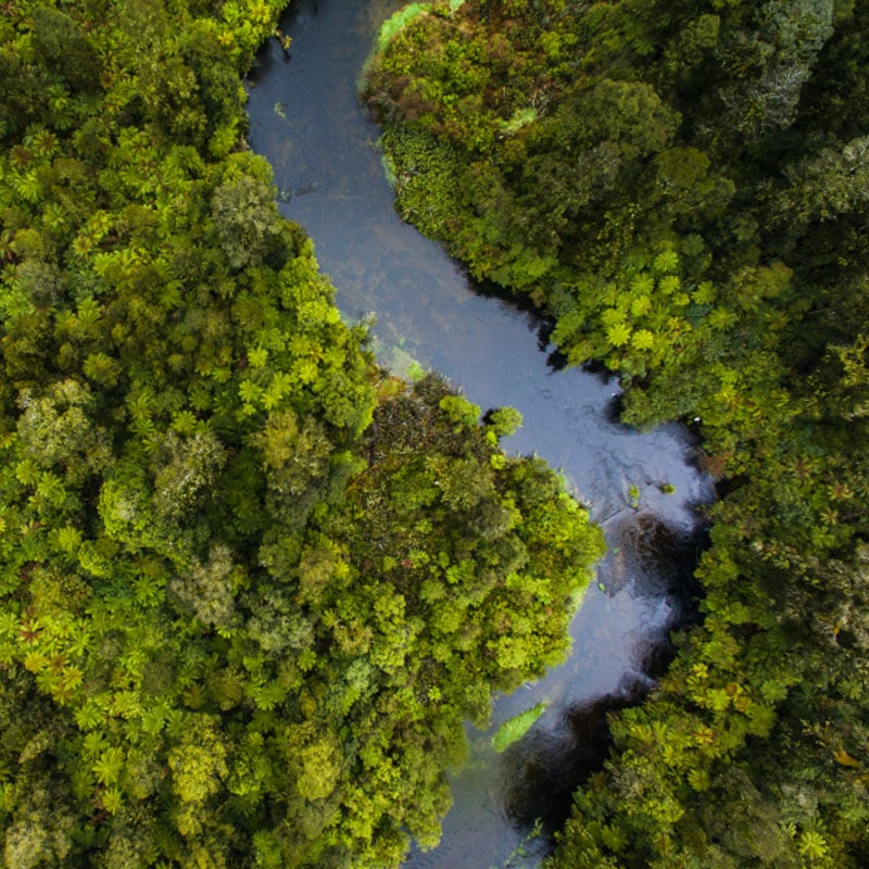 river-running-through-forest_800x800