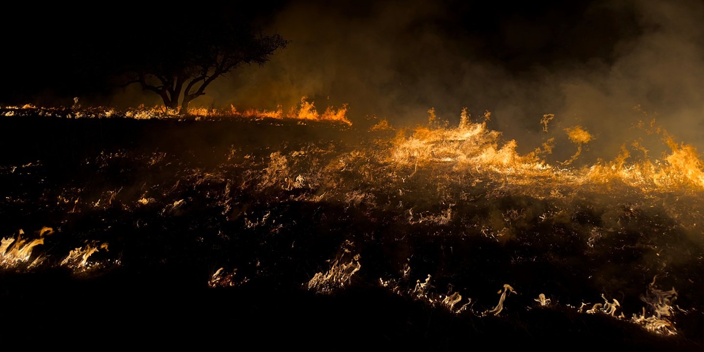 Wildfire preparedness_1440x720.jpg