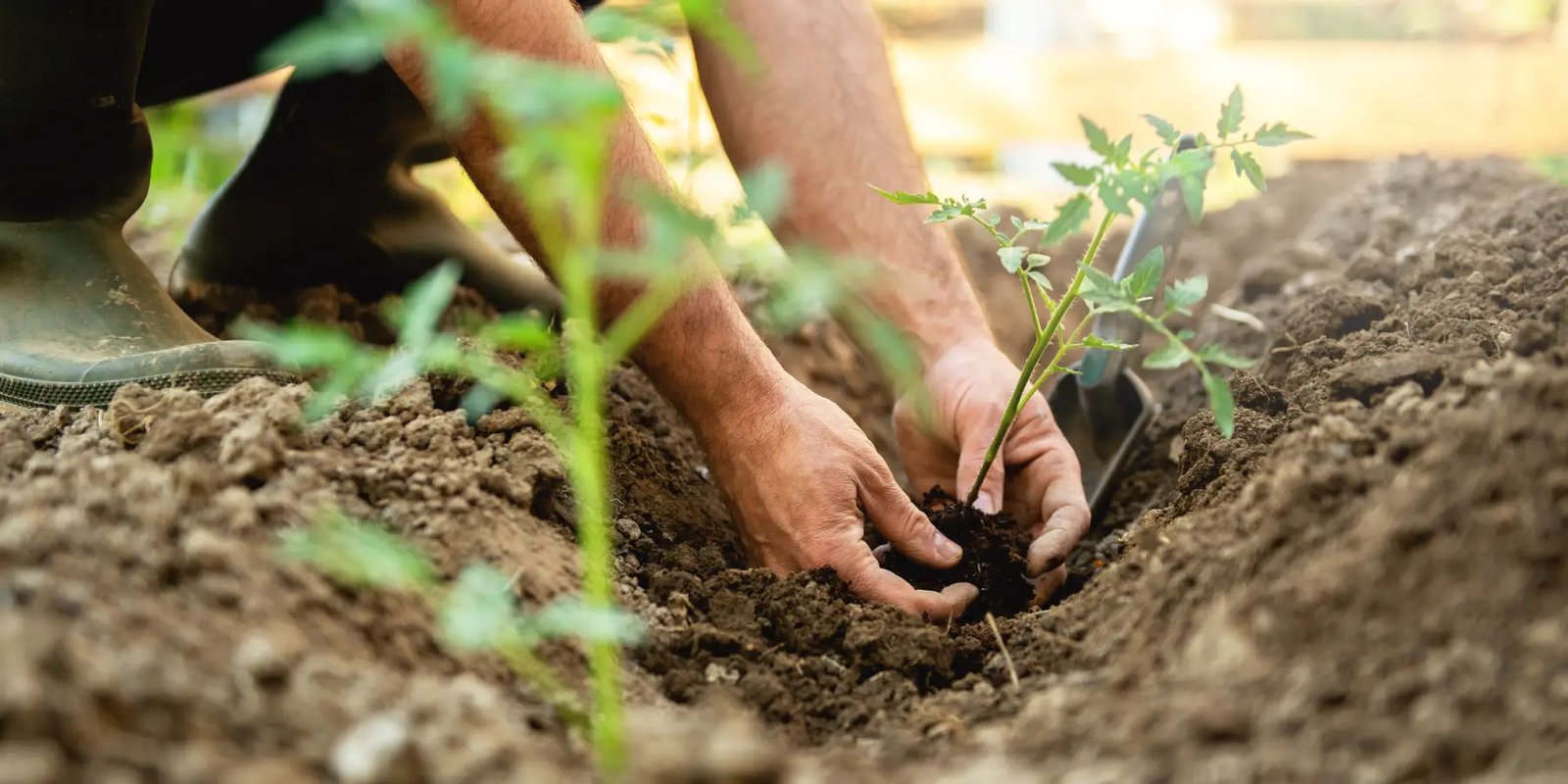 Zurich: 60 años de excelencia en seguros en Argentina