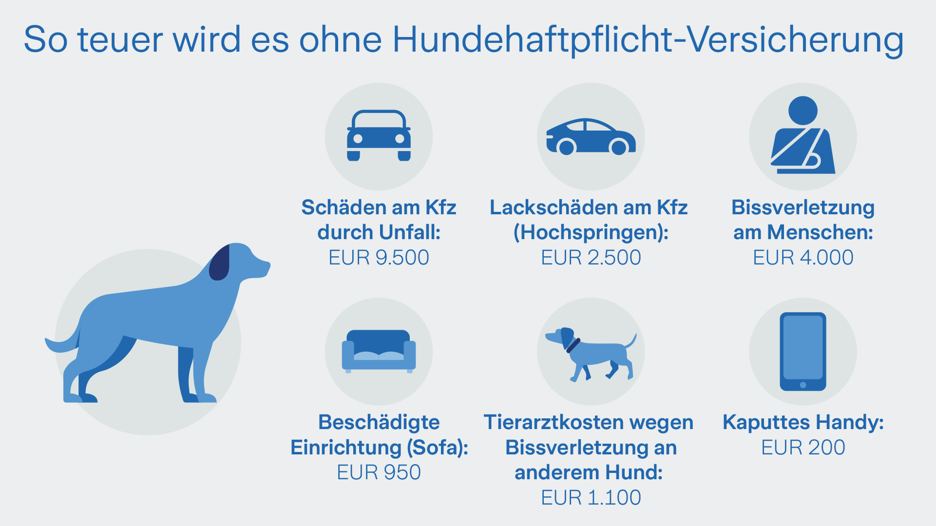 Grafik zeigt Kosten von typische Schadensfälle die ein Hund verursachen kann:  Schäden am Kfz durch Unfall, Lackschäden am Kfz (Hochspringen), Bissverletzung am Menschen, Tierarztkosten wegen Bissverletzung an anderen Hund, Beschädigte Einrichtung