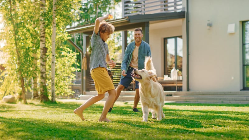 Vater und Sohn spielen mit Hund