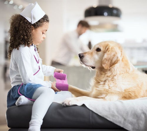 Kind spielt mit Hund und verarztet ihn