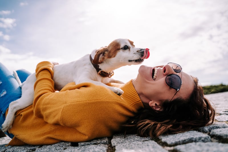 Frau spielt mit kleinem Hund