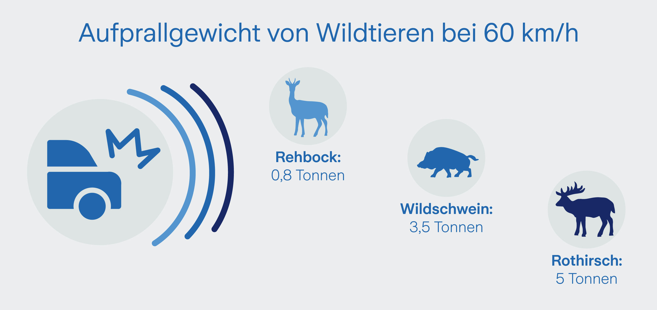 Aufprallgewicht-wild Bei 60 km/h beträgt das Aufprallgewicht eines Rehbocks 0,8 Tonnen | Zurich Connect Kfz-Versicherung
