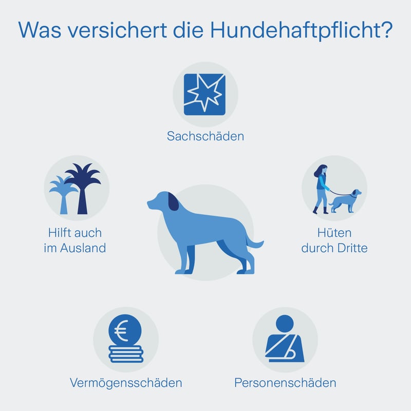 Grafik zeigt 6 Schäden, die die Hundeversicherung deckt.