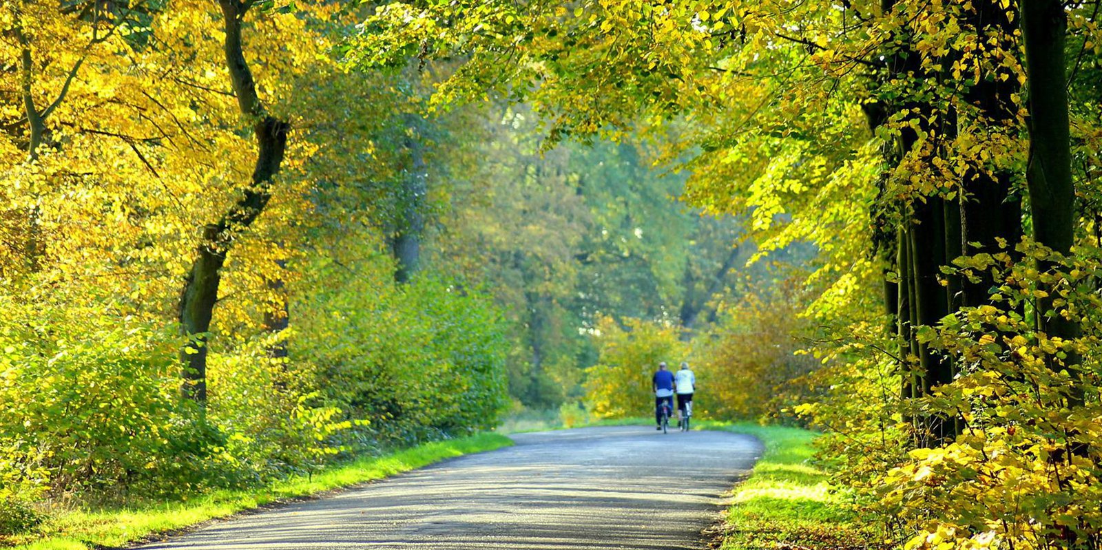 Radfahren im Herbst