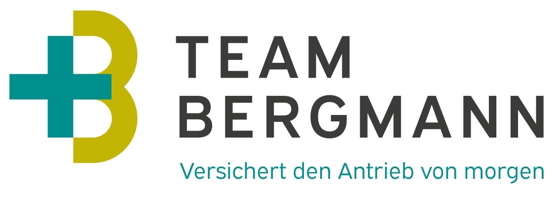 logo team bergmann