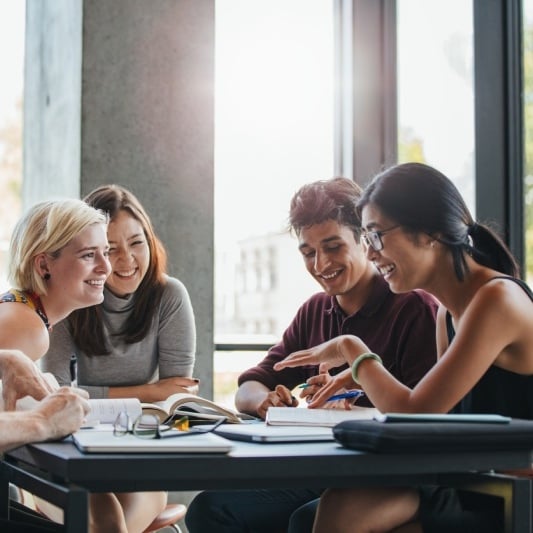 Group studying together indoors