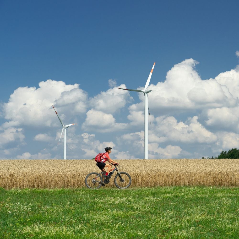 About us Banner Image