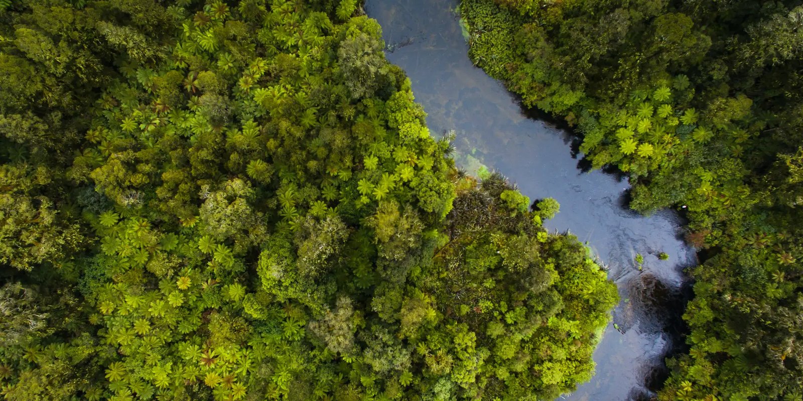 Climate Spotlight